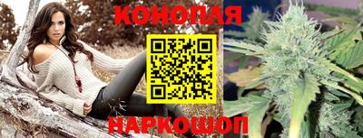 гашик Обь