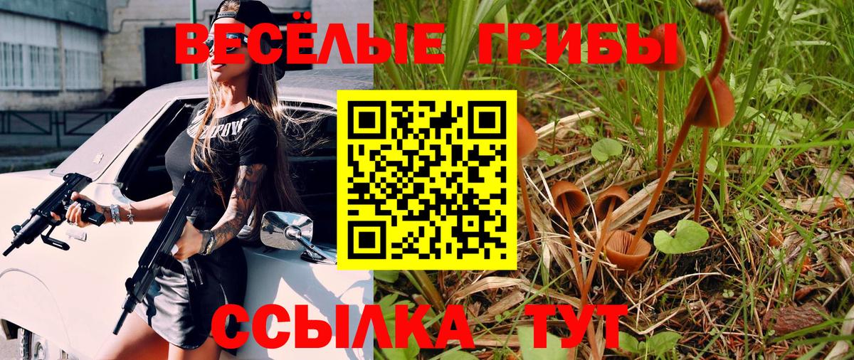 Галлюциногенные грибы Psilocybine cubensis Тосно