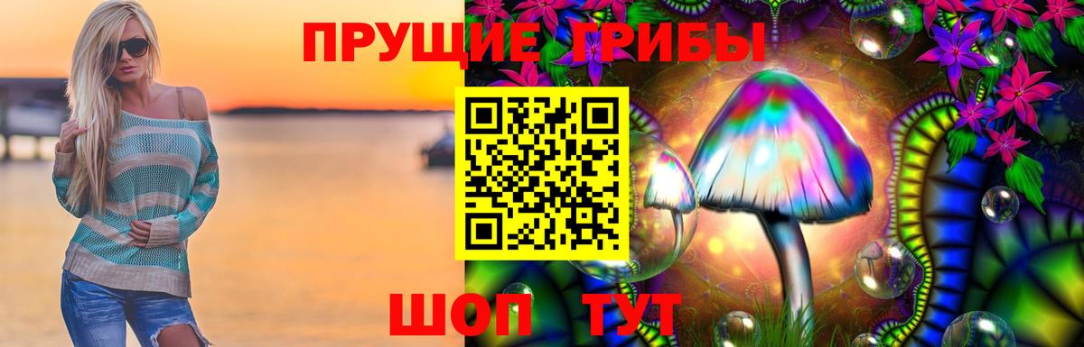 Псилоцибиновые грибы мицелий  Галлюциногенные грибы Psilocybe  Тосно  Вход с VPN 
